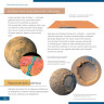 Телескоп LEVENHUK DISCOVERY SPARK 114 AZ с книгой 78736